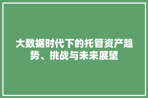 大数据时代下的托管资产趋势、挑战与未来展望 电脑基础