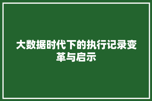 大数据时代下的执行记录变革与启示