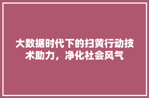 大数据时代下的扫黄行动技术助力，净化社会风气 编程语言