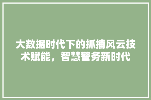 大数据时代下的抓捕风云技术赋能,智慧警务新时代 大数据时代下的抓捕风云技术赋能,智慧警务新时代