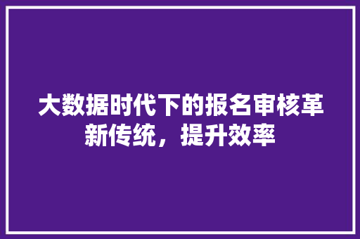 大数据时代下的报名审核革新传统，提升效率