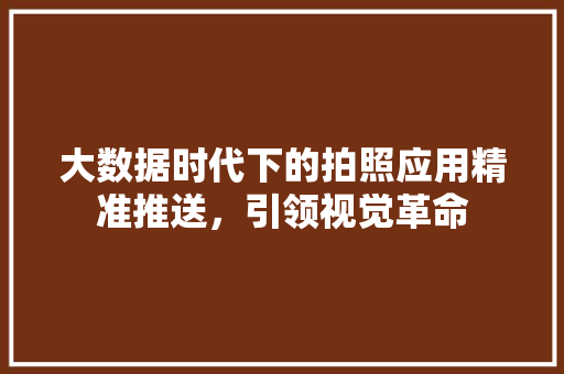 大数据时代下的拍照应用精准推送，引领视觉革命