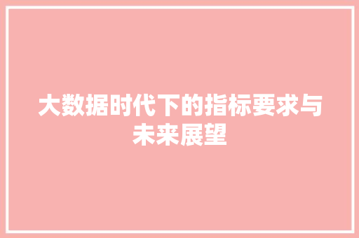 大数据时代下的指标要求与未来展望