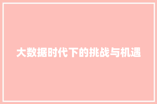 大数据时代下的挑战与机遇 编程语言