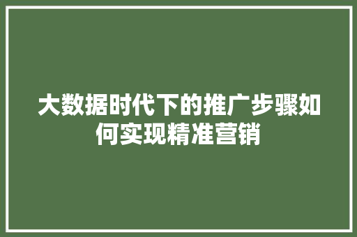 大数据时代下的推广步骤如何实现精准营销