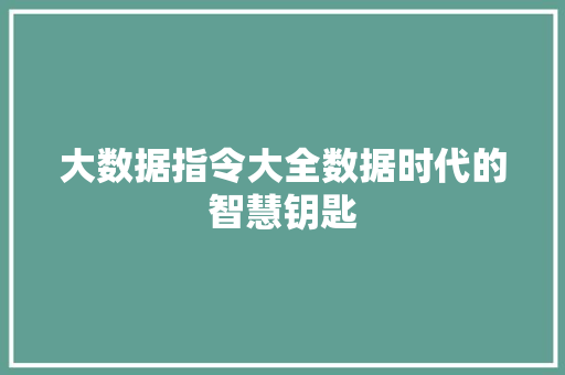 大数据指令大全数据时代的智慧钥匙