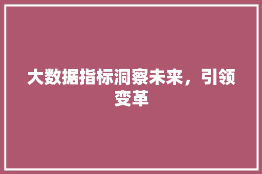 大数据指标洞察未来，引领变革
