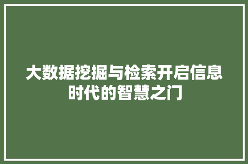 大数据挖掘与检索开启信息时代的智慧之门