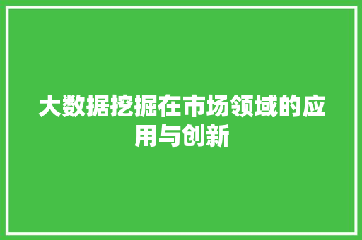 大数据挖掘在市场领域的应用与创新