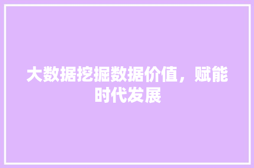 大数据挖掘数据价值,赋能时代发展 大数据挖掘数据价值,赋能时代发展