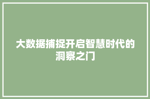 大数据捕捉开启智慧时代的洞察之门 大数据捕捉开启智慧时代的洞察之门