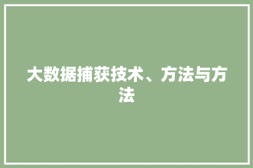 大数据捕获技术、方法与方法 大数据捕获技术、方法与方法