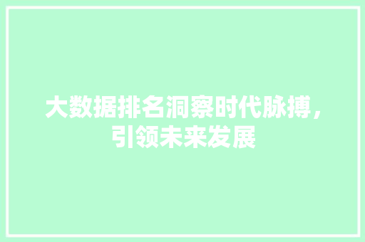 大数据排名洞察时代脉搏,引领未来发展 大数据排名洞察时代脉搏,引领未来发展