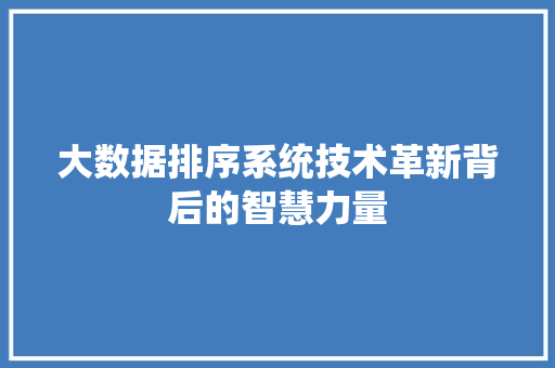 大数据排序系统技术革新背后的智慧力量