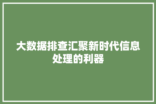 大数据排查汇聚新时代信息处理的利器 大数据排查汇聚新时代信息处理的利器