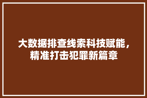 大数据排查线索科技赋能，精准打击犯罪新篇章