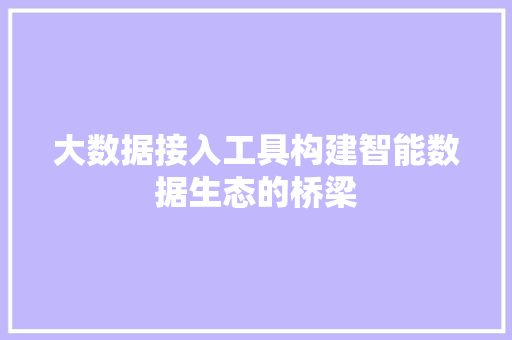 大数据接入工具构建智能数据生态的桥梁