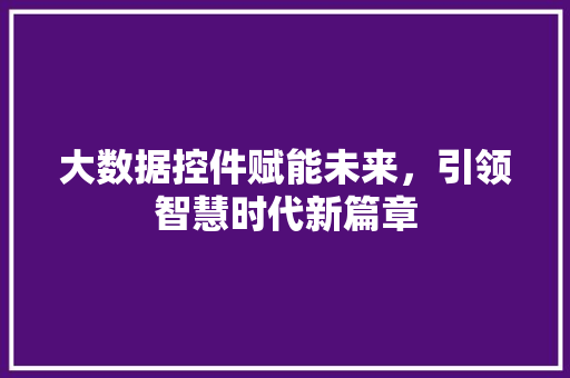 大数据控件赋能未来，引领智慧时代新篇章