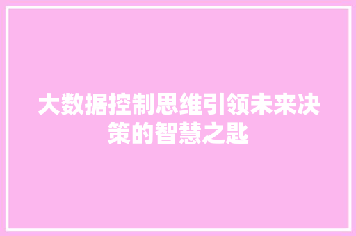 大数据控制思维引领未来决策的智慧之匙 编程语言