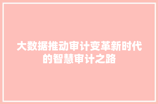 大数据推动审计变革新时代的智慧审计之路
