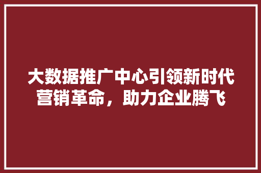 大数据推广中心引领新时代营销革命，助力企业腾飞