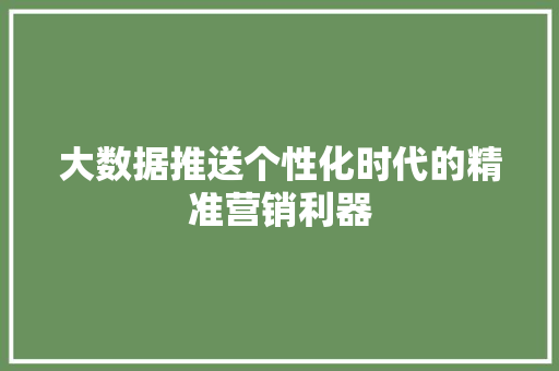 大数据推送个性化时代的精准营销利器 大数据推送个性化时代的精准营销利器