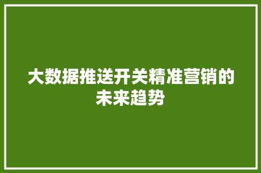 大数据推送开关精准营销的未来趋势