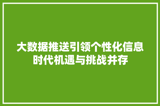 大数据推送引领个性化信息时代机遇与挑战并存