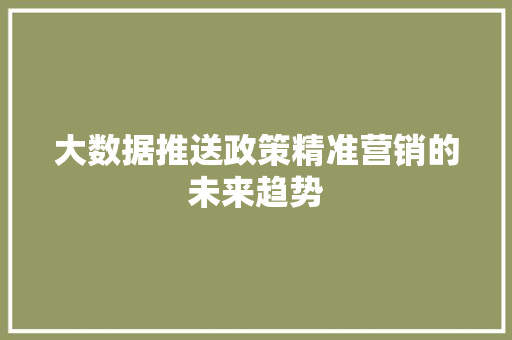 大数据推送政策精准营销的未来趋势