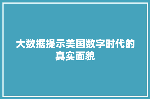 大数据提示美国数字时代的真实面貌