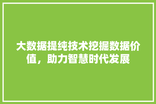 大数据提纯技术挖掘数据价值,助力智慧时代发展 电脑故障维修 大数据提纯技术挖掘数据价值,助力智慧时代发展 电脑故障维修