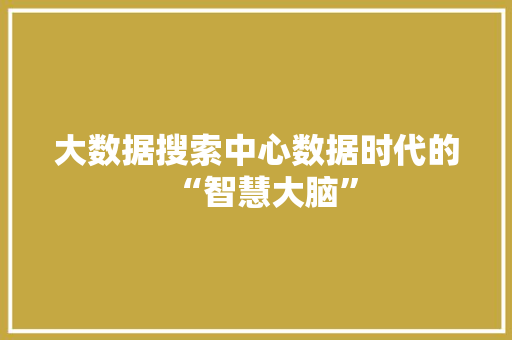 大数据搜索中心数据时代的“智慧大脑”