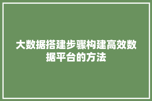 大数据搭建步骤构建高效数据平台的方法