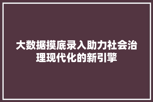 大数据摸底录入助力社会治理现代化的新引擎