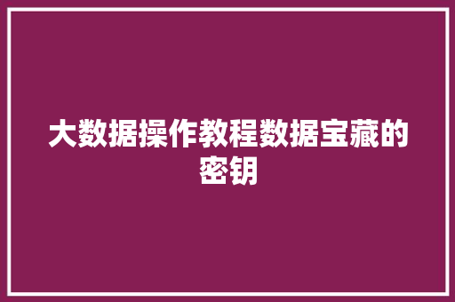 大数据操作教程数据宝藏的密钥