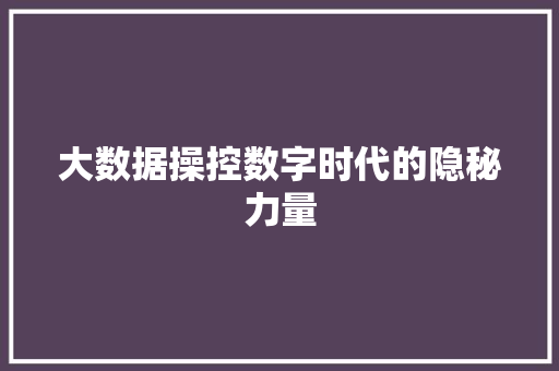 大数据操控数字时代的隐秘力量