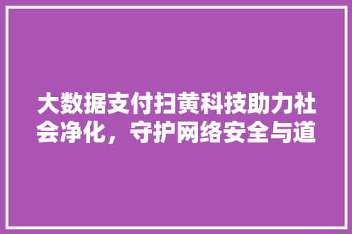 大数据支付扫黄科技助力社会净化，守护网络安全与道德底线
