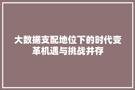 大数据支配地位下的时代变革机遇与挑战并存 操作系统