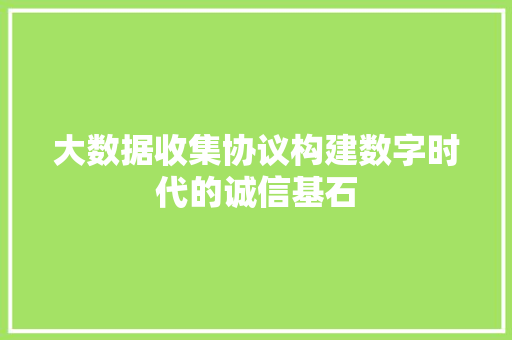 大数据收集协议构建数字时代的诚信基石 网络技术