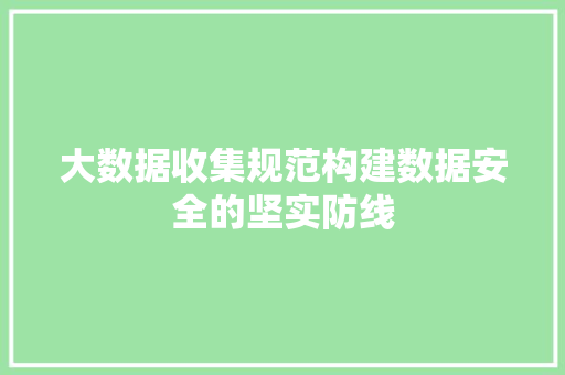 大数据收集规范构建数据安全的坚实防线