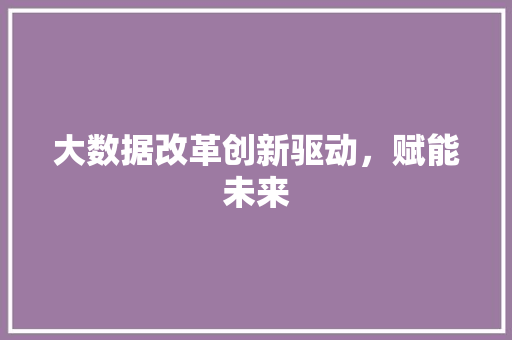 大数据改革创新驱动,赋能未来 大数据改革创新驱动,赋能未来