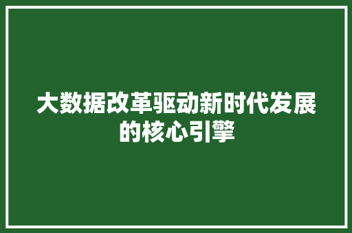 大数据改革驱动新时代发展的核心引擎 大数据改革驱动新时代发展的核心引擎