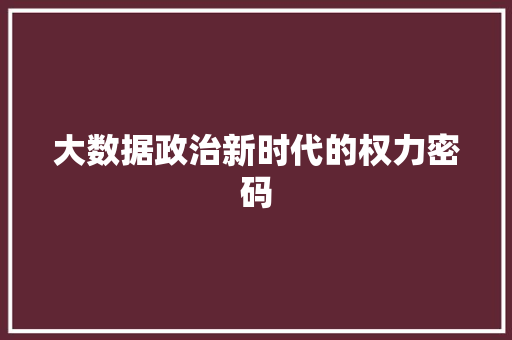 大数据政治新时代的权力密码