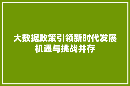 大数据政策引领新时代发展机遇与挑战并存