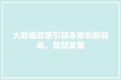 大数据政策引领未来创新驱动,智慧发展 大数据政策引领未来创新驱动,智慧发展