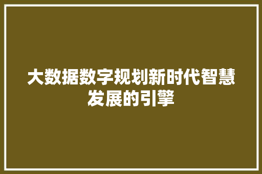 大数据数字规划新时代智慧发展的引擎