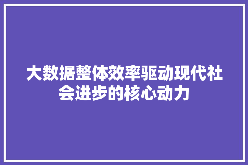 大数据整体效率驱动现代社会进步的核心动力