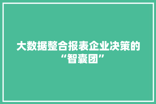 大数据整合报表企业决策的“智囊团”