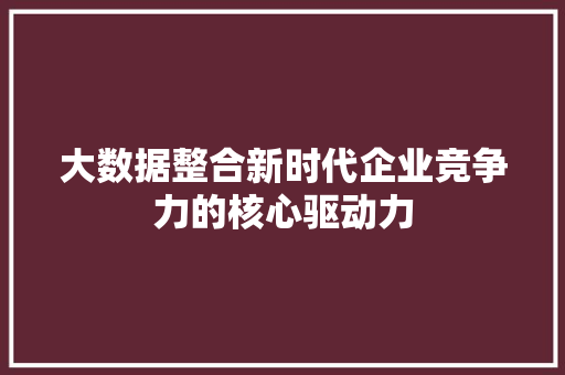大数据整合新时代企业竞争力的核心驱动力