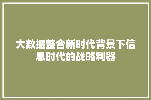 大数据整合新时代背景下信息时代的战略利器